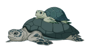 H2O Sea Turtles