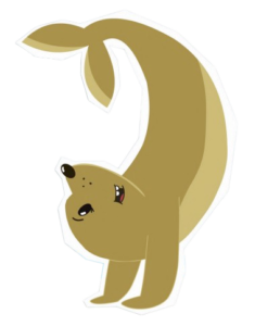 Inui Sacha the Seal