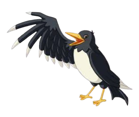Lassie – Pica the Magpie – PNG Image