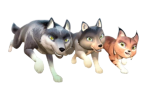 Tales of Tatonka Friends