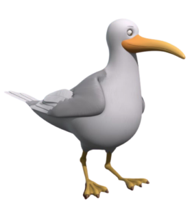 The Muscleteers Seagull