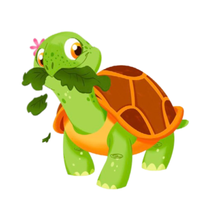 Topo Gigio Turtle