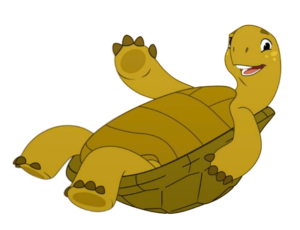 Tortle Tortle on its Back