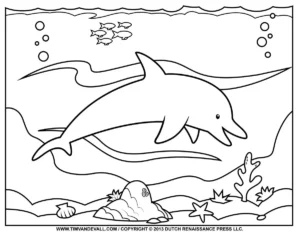 Zoom the White Dolphin – Ocean – Colouring Page