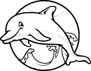 Zoom the White Dolphin – Zoom – Colouring Page