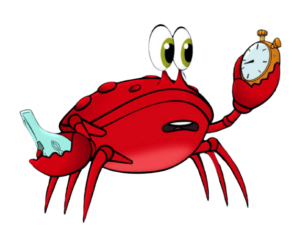 Sea Kids Coach Crab
