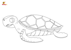Snail Trail – Turtle – Colouring Page