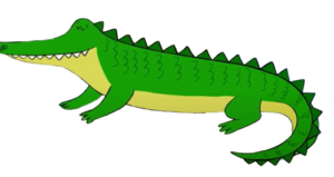 Captain Seasalt Alligator