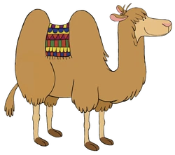 Captain Seasalt Camel