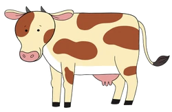 Captain Seasalt – Cow – PNG Image