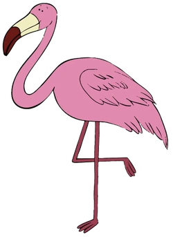 Captain Seasalt – Flamingo – PNG Image