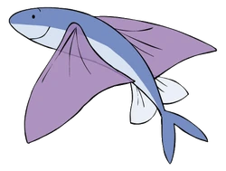 Captain Seasalt Flying Fish