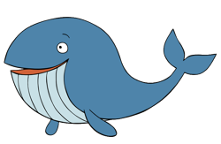 Captain Seasalt – Whale – PNG Image