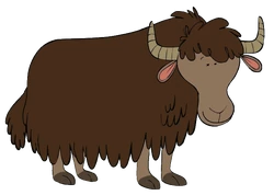 Captain Seasalt Yak