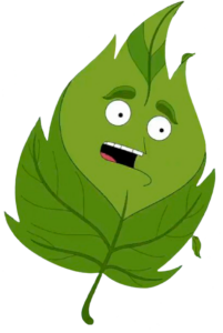Farzar Leafeon