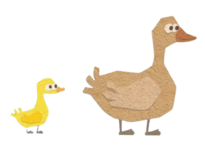 Tucky Tales Ducks