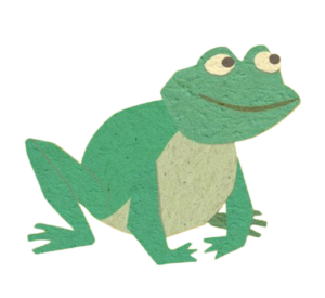 Tucky Tales Frog