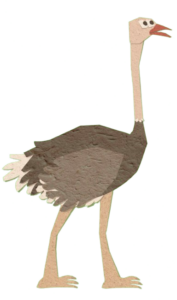 Tucky Tales Ostrich