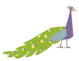 Tucky Tales Peacock